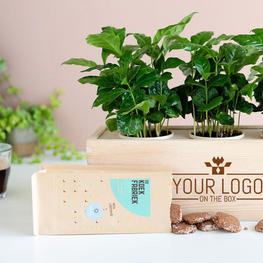 Coffee out of the Box 'Tasty break' - L