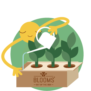 Door het slimme watergeefsysteem heb je geen omkijken naar het verzorgen van de planten in de BloomsBox.