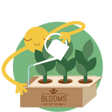 Door het slimme watergeefsysteem heb je geen omkijken naar het verzorgen van de planten in de BloomsBox.