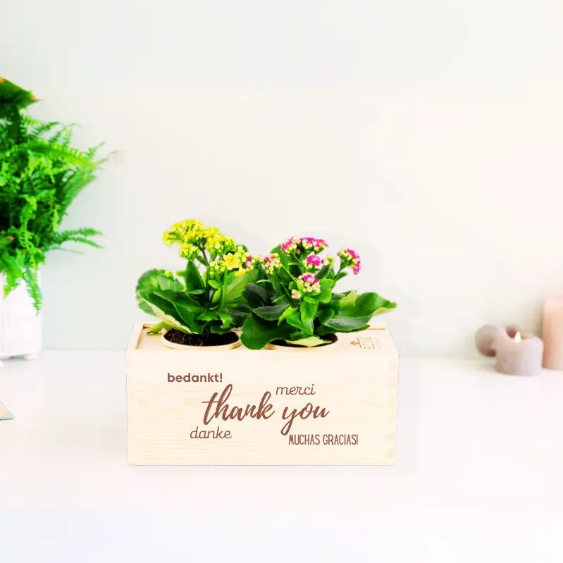 thank you plant pot Original and sustainable thank you gifts with a BloomsBox – Blooms out of the Box