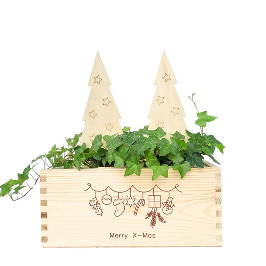 BloomsBox 'Merry Xmas' - houten kerstboompjes - Blooms out of the Box