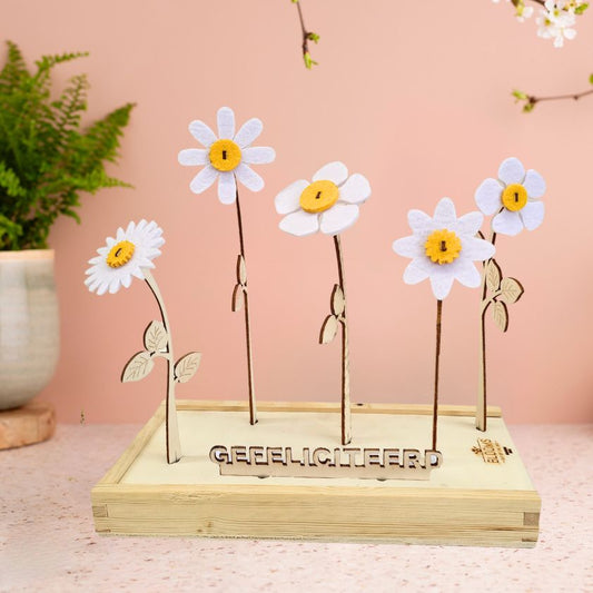 Happy Blooms 'Gefeliciteerd' - Blooms out of the Box