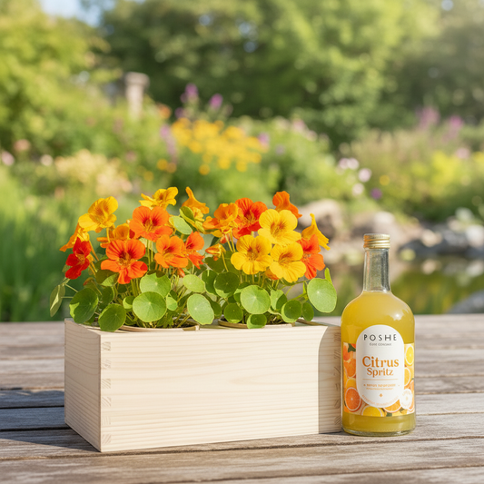 Happy Herbals - Citrus Spritz - Blooms out of the Box
