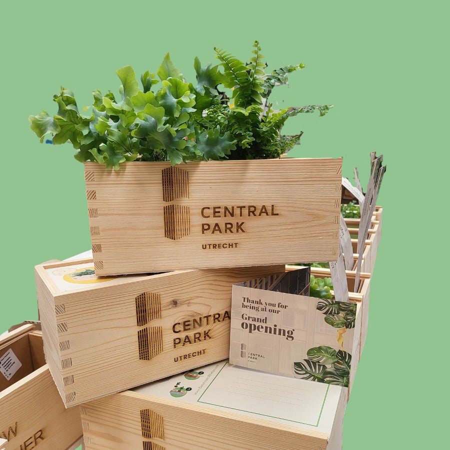 Nature out of the Box 'your design' - M - Blooms out of the Box