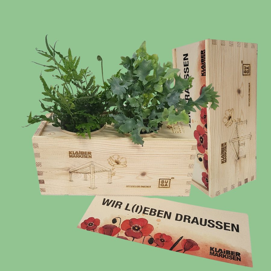 Nature out of the Box 'your design' - M - Blooms out of the Box