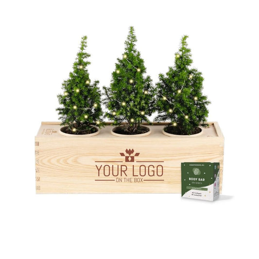 Xmas 'Forest fresh' - L (vanaf 10) - Blooms out of the Box