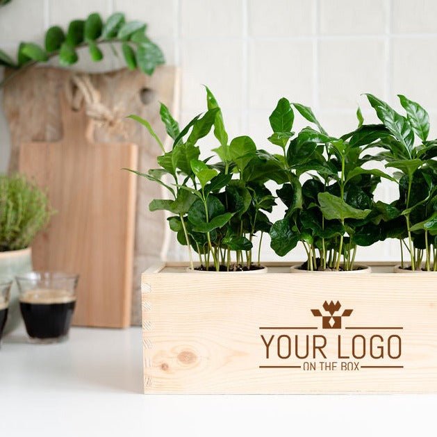 Coffee out of the Box - L - Branded - Blooms out of the Box