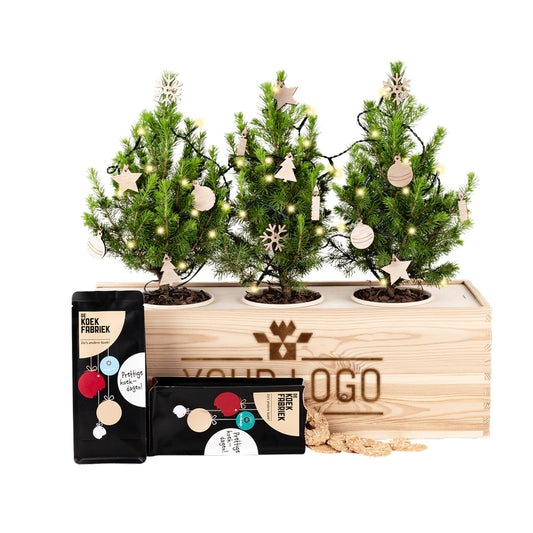 Xmas XL 'Cosiness' - Your logo (vanaf 10) - duurzaam bloem- & plantcadeau | Blooms out of the Box