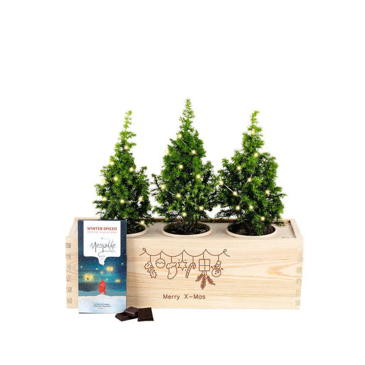 Xmas out of the Box 'Guilty pleasure' - L - Merry Xmas - Blooms out of the Box