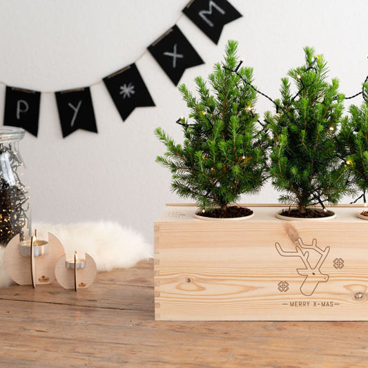 Xmas out of the Box - XL - Branded - Bloomsoutofthebox