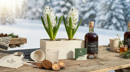 Duurzaam kerstpakket voor je team: origineel én binnen de WKR - Blooms out of the Box