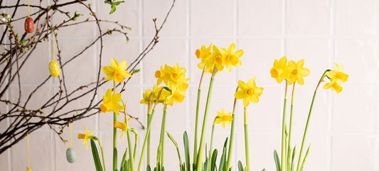 Gezonde paasgeschenken voor personeel: géén chocolade paaseieren - Blooms out of the Box