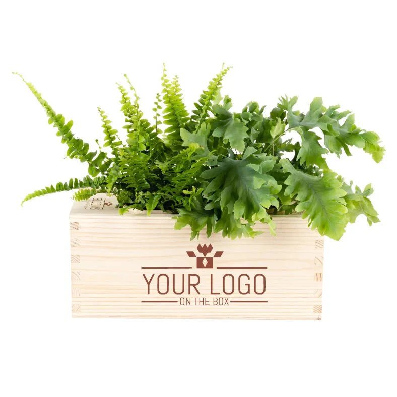 Branded BloomsBox