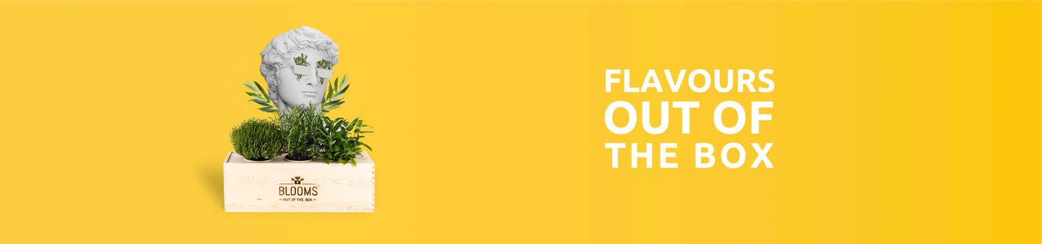 Flavours out of the box