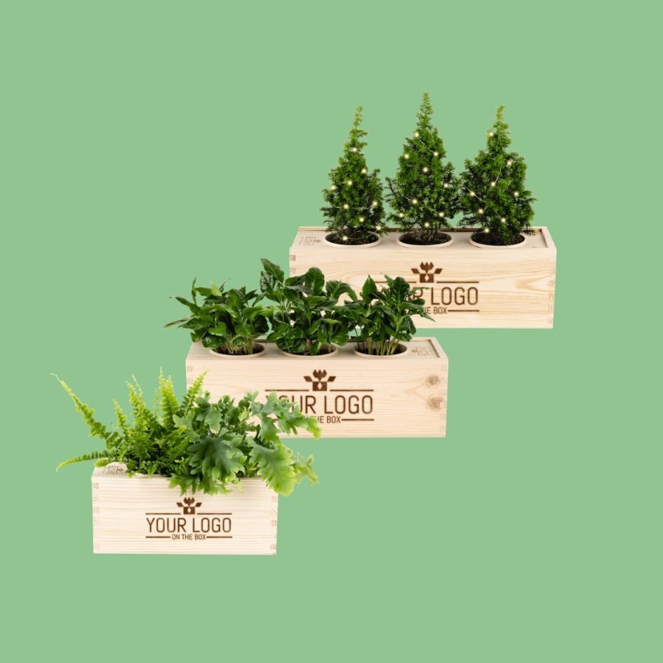 Customized BloomsBox 10-24 pieces