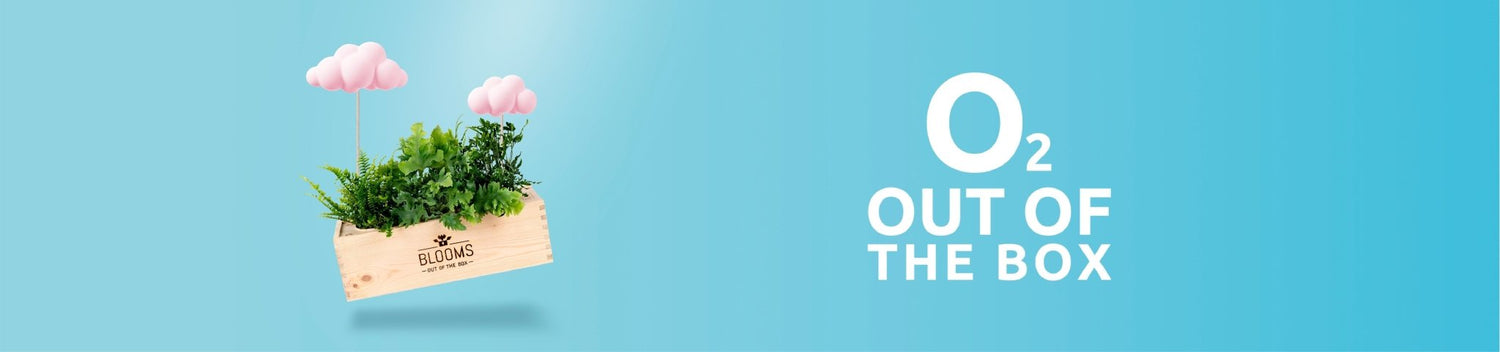 Nature out of the Box