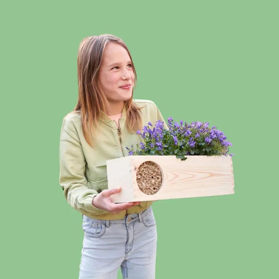 Seasons out of the Box