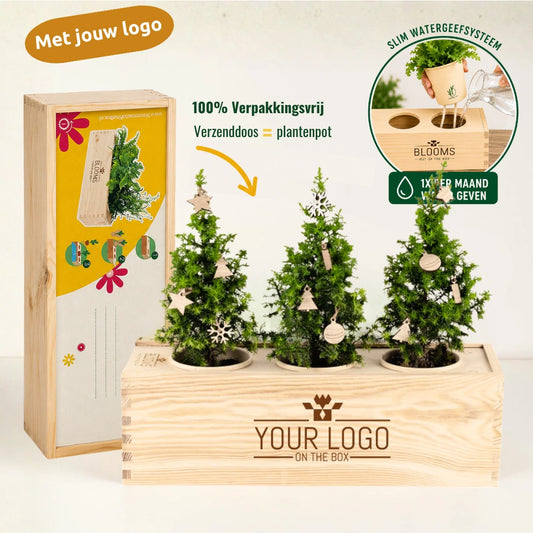 Houten kist met versierde kerstboompjes: productfoto met de voordelen in het kort