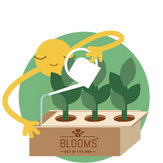 Door het slimme watergeefsysteem heb je geen omkijken naar het verzorgen van de planten in de BloomsBox. 