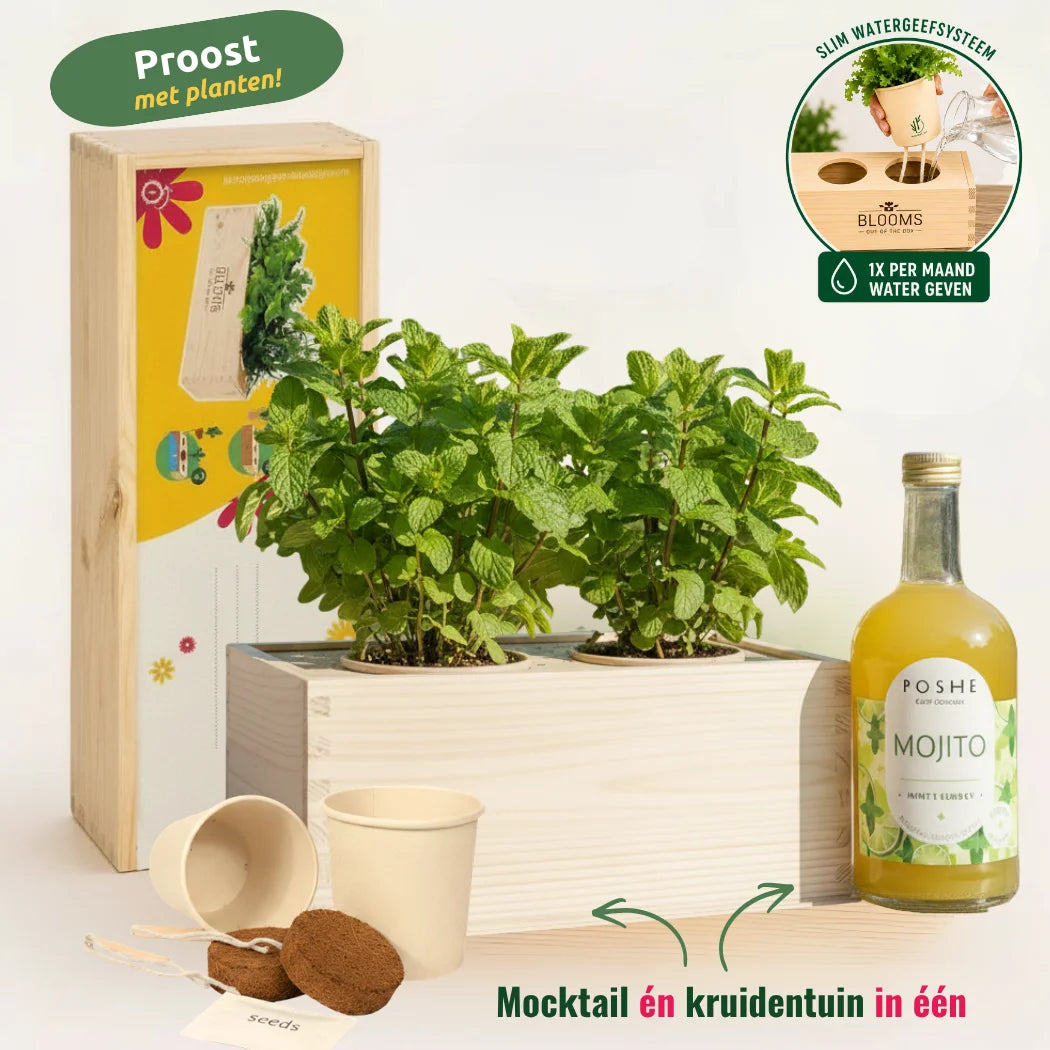 Happy Herbals - Mojito