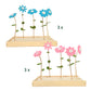 Happy Blooms 'That deserves a bouquet'