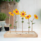 Happy Blooms 'That deserves a bouquet'