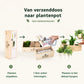 BloomsBox 'Hello Baby' - L