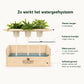 Happy Herbals - Mojito