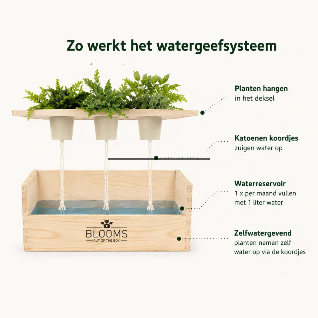 Happy Herbals - Mojito