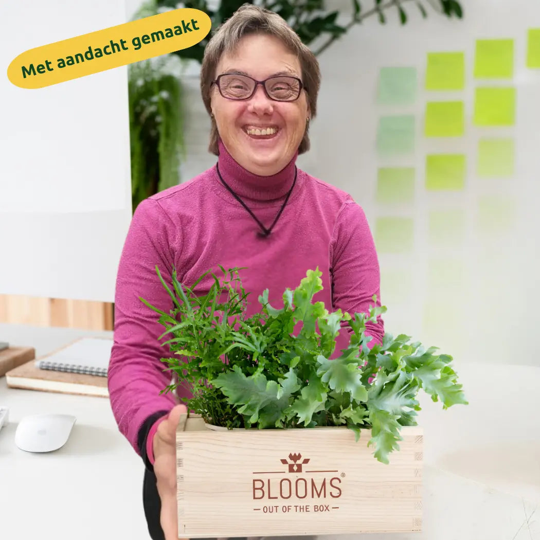 Happy Herbals - Mulled Wine 'your logo'