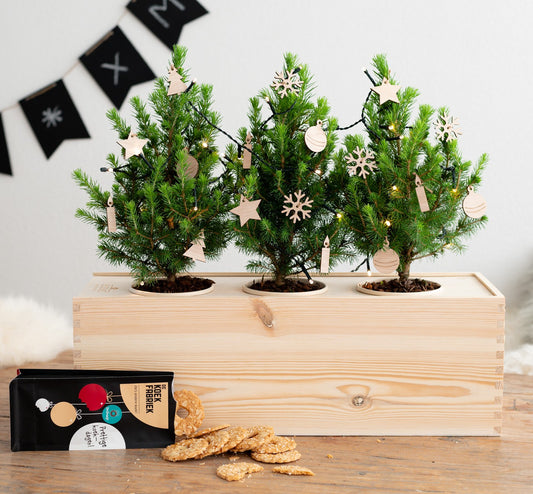 Xmas out of the Box - XL 