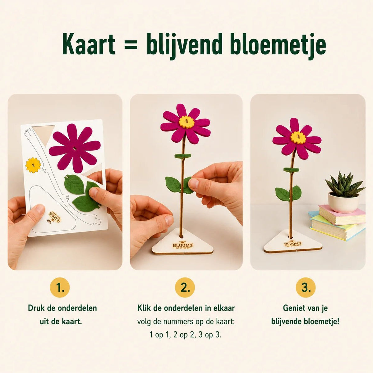Bloemenpost- One (12 stk) - duurzaam bloem- & plantcadeau | Blooms out of the Box