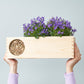 Blooms & Bees out of the Box - L (vanaf 10) - duurzaam bloem- & plantcadeau | Blooms out of the Box