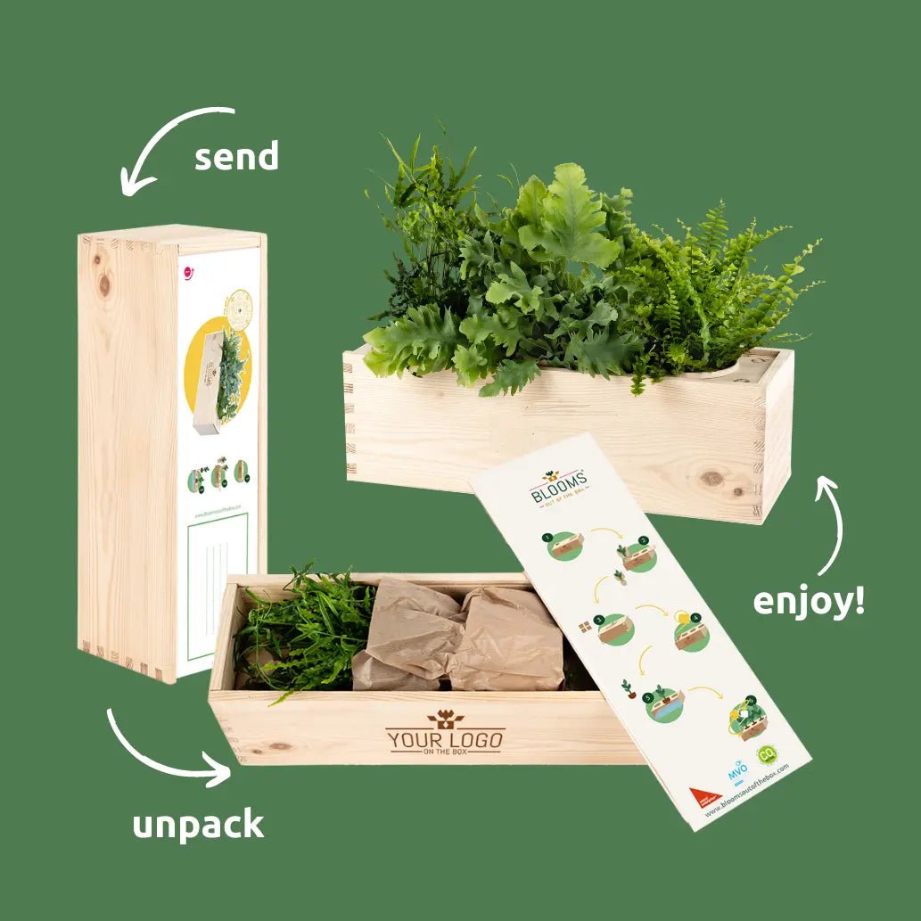 BloomsBox 'Je bent een topper' - L - Blooms out of the Box