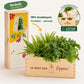 BloomsBox 'Je bent een topper' - L - duurzaam bloem- & plantcadeau | Blooms out of the Box