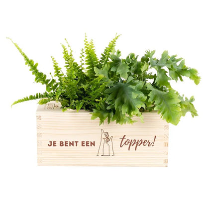 BloomsBox 'Je bent een topper!' - M - Blooms out of the Box