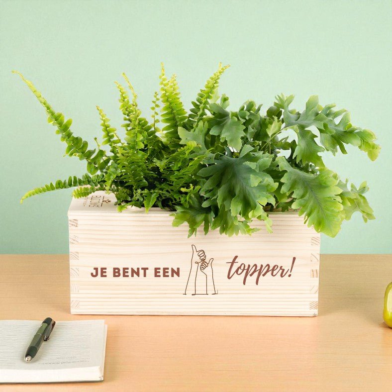 BloomsBox 'Je bent een topper!' - M - Blooms out of the Box