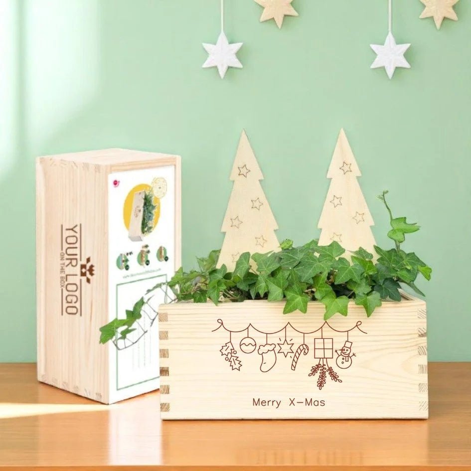 BloomsBox 'Merry Xmas' - houten kerstboompjes - duurzaam bloem- & plantcadeau | Blooms out of the Box