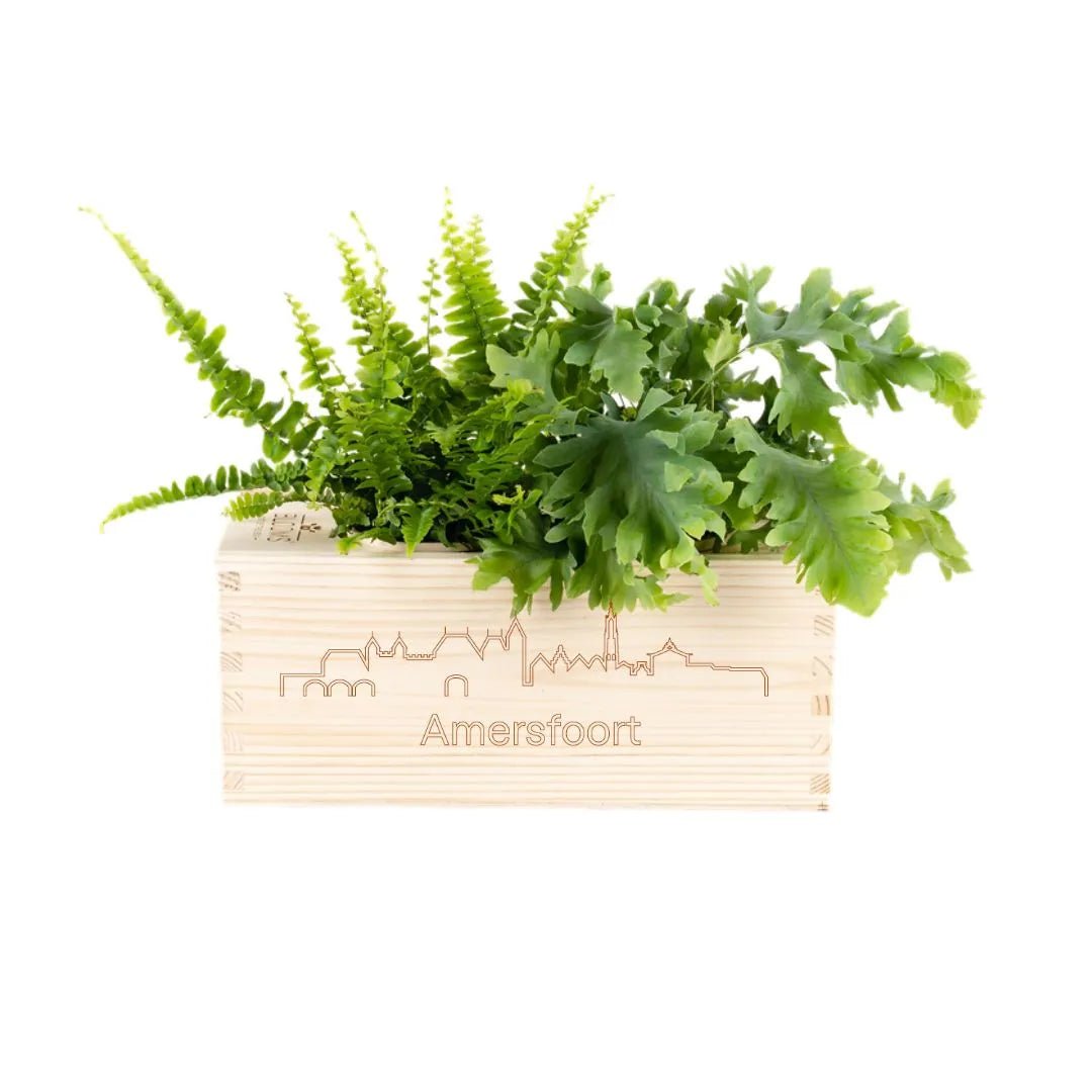 BloomsBox 'Skyline Amersfoort' - M - Blooms out of the Box