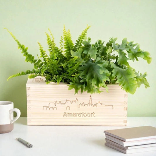 BloomsBox 'Skyline Amersfoort' - M - Blooms out of the Box