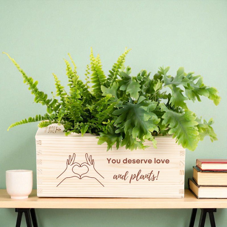 BloomsBox 'You deserve plants' - M - duurzaam bloem- & plantcadeau | Blooms out of the Box