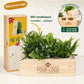 BloomsBox 'your design' - L - Blooms out of the Box