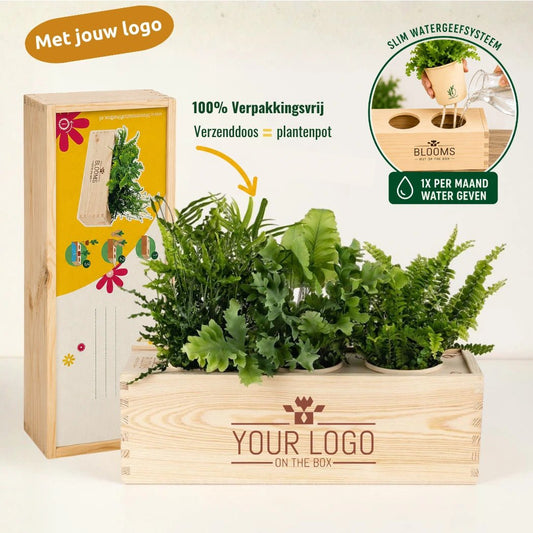 BloomsBox 'your design' - L - Blooms out of the Box