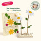 Happy Blooms - Duo 'Hello Baby' - duurzaam bloem- & plantcadeau | Blooms out of the Box
