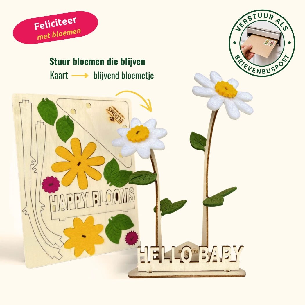 Happy Blooms - Duo 'Hello Baby' - duurzaam bloem- & plantcadeau | Blooms out of the Box