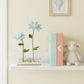 Happy Blooms - Duo 'Hello Baby' - duurzaam bloem- & plantcadeau | Blooms out of the Box