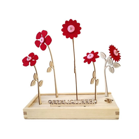 Happy Blooms 'Gefeliciteerd' - Blooms out of the Box