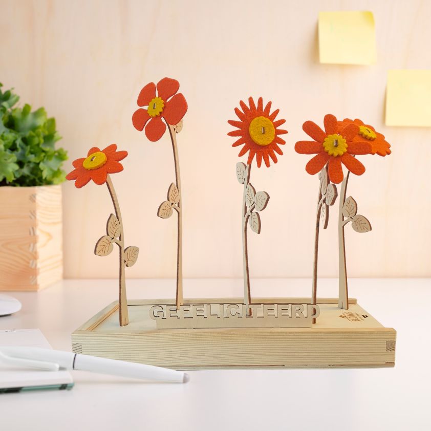 Happy Blooms 'Gefeliciteerd' - Blooms out of the Box