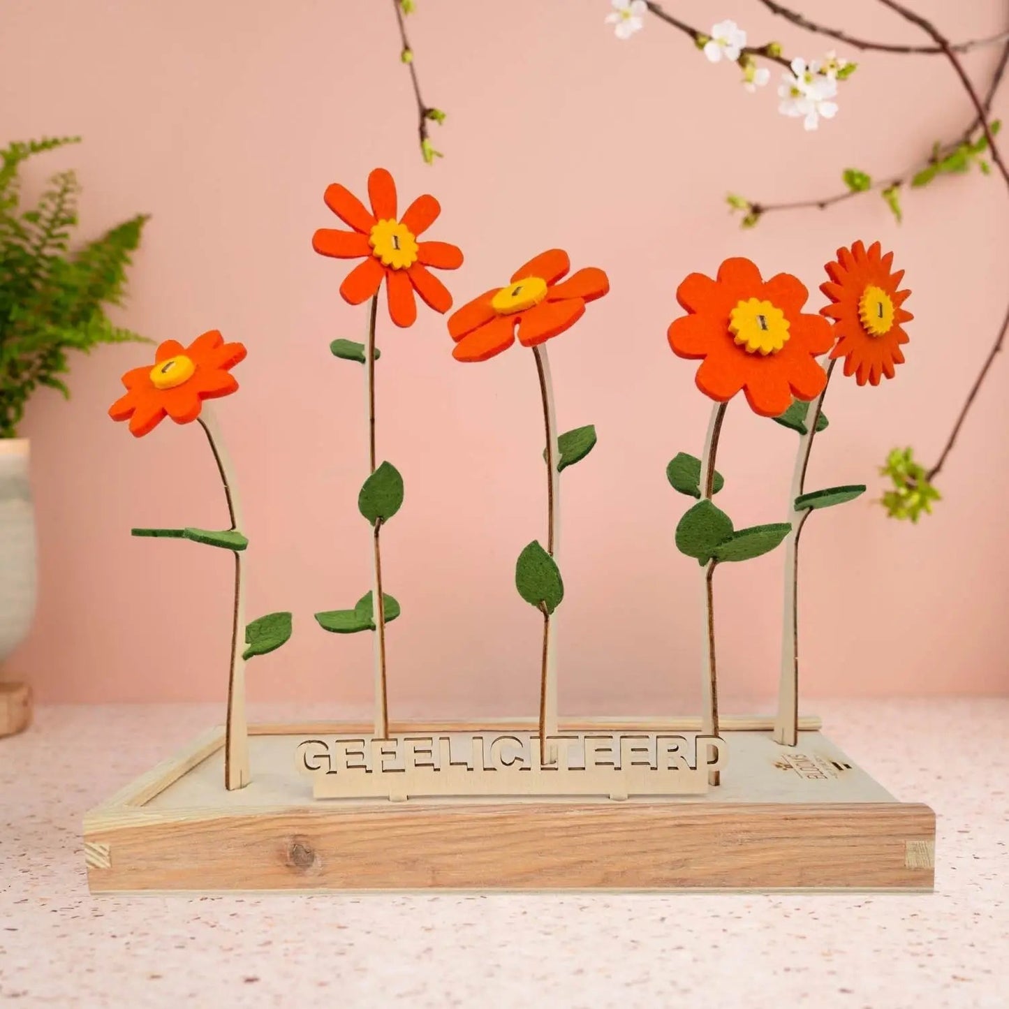 Happy Blooms 'Gefeliciteerd' - Blooms out of the Box