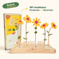 Happy Blooms 'Je bent een topper' - Blooms out of the Box